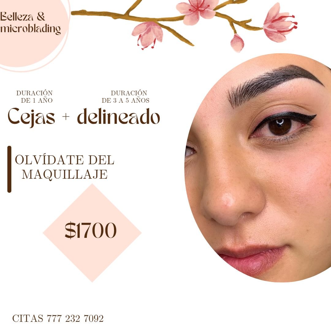 Trabajo profesional de cejas y delineado